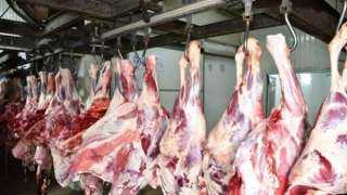 انخفاض أسعار اللحوم 20%.. والحبس سنة عقوبة المخالفين طبقا للقانون