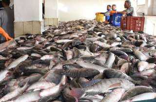أسعار الأسماك فى سوق العبور اليوم السبت