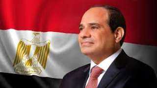 خارجية النواب: الرئيس السيسي أكد على موقف مصر بضرورة وقف إطلاق النار بغزة
