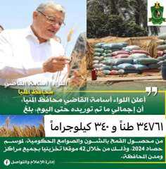 توريد ٣٥ ألف طن من محصول القمح بالشون والصوامع الحكومية بمراكز المنيا
