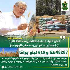 شون وصوامع المنيا تستقبل 48 طناً من محصول القمح لموسم حصاد 2024