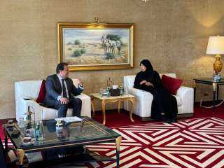 خالد عبدالغفار يبحث مع وزيرة الصحة القطرية الجهود المشتركة لتقديم المساعدات الطبية والإنسانية للأشقاء الفلسطنيين