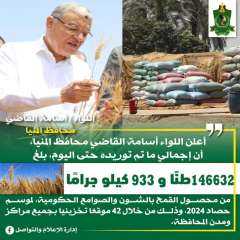 شون وصوامع المنيا تستقبل 146 ألف طن من محصول القمح لموسم حصاد 2024