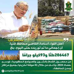 محافظ المنيا: شون وصوامع المحافظة تواصل استقبال القمح وتوريد 206 آلاف طن منذ بدء الموسم