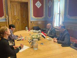 السفير المصري في مملكة النرويج يلتقي رئيسة لجنة العلاقات الخارجية والدفاع بالبرلمان النرويجي