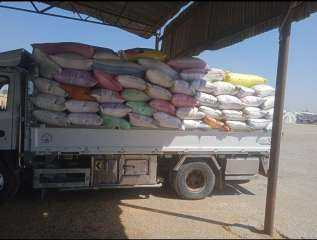 توريد ٥٨٩١٦١ طن و ٧٦٣ كيلو من محصول القمح لصوامع وشون محافظة الشرقية