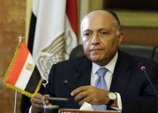 شكرى: مصر وإسبانيا ونيوزيلاندا يبلورون مشروع قرار بمجلس الأمن حول سوريا