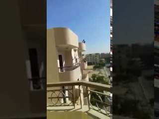 بالفيديو: بلطجية يعتدون على إمرأة ويخرجونها من منزلها بالملابس الداخلية