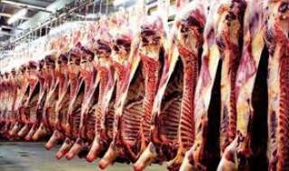 الزراعة: استيراد نحو 49 ألف طن من اللحوم البقري والجاموسي
