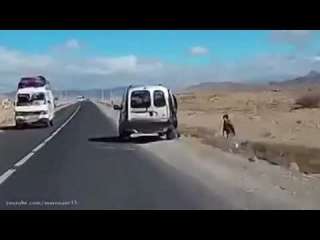 بالفيديو: مغربي يرمي طفلاً من السيارة على الطريق العام