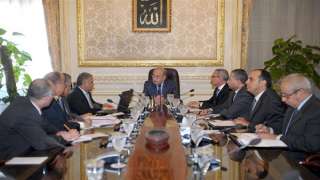”الوزراء” يوافق على إنشاء معهد العلوم الأساسية والتطبيقية بالجامعة المصرية اليابانية