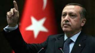 أردوغان: النشطاء الحقوقيين حولوا استكمال الانقلاب الفاشل