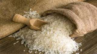المصيلحى يطالب شركات مضارب قطاع الأعمال بالاستعداد لموسم تسويق الأرز