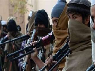 مقتل 15 من مسلحي طالبان شمالي أفغانستان 