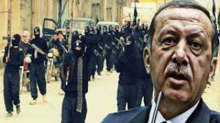 الرئيس التركي : قادة تنظيم داعش في الرقة أصبحوا في سيناء