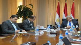 الجارحي: مصر ترحب بالتعاون مع المنظمة الفرانكفونية في مختلف المجالات