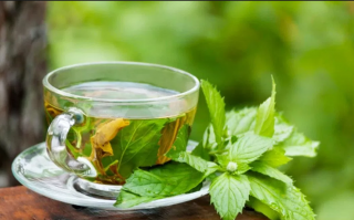 الشاى الأخضر لإنقاص الوزن