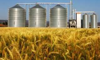 ”التموين”: رفع السعة التخزينية لصوامع القمح بإجمالي 3.9 مليون طن و” 3000 منفذ لمشروع ”جمعيتي”
