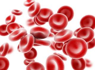 طرق علاج فقر الدم طبيعيا بالغذاء والمكملات