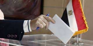 انتهاء تصويت المصريين بالخارج في نيوزيلاندا وبدء الفرز