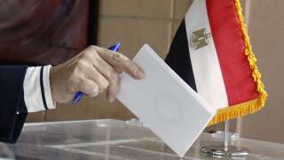 بالفيديو.. الجاليات المصرية بالخليج تقبل على العملية الانتخابية