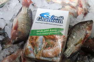 محافظ كفر الشيخ يفتتح منافذ بيع أسماك ”غليون” 