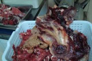 أمن المنوفية يضبط كمية من اللحوم الفاسدة فى حملة