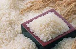 الحكومة:تنفى طرح أرز صينى مسرطن ومصنع من البلاستيك فى الأسواق