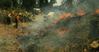 انحسار الموجة الحارة الأوروبية عن مركزها في البرتغال وحرائق الغابات مستمرة