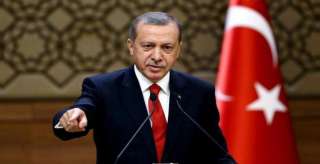 أردوغان: الكلمات تعجز عن وصف موقف بلد شريك لنا في حلف الناتو
