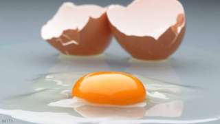 علماء يابانيون يطورون نوعا من الدجاج يضع بيض ذهبي يعالج السرطان والتهاب الكبد