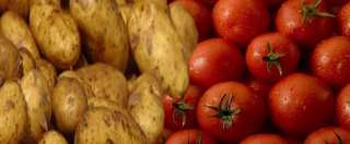 بالفيديو ..التموين تكشف سبب ارتفاع أسعار الطماطم والبطاطس