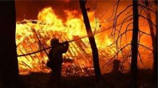 بالفيديو .. الحرائق تلتهم مناطق واسعة في كاليفورنيا  