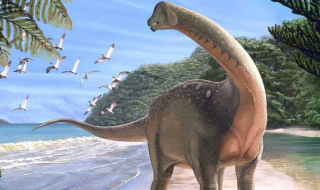 دراسة تكشف عن سر مثير بشأن عصور الديناصورات