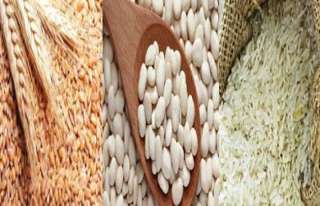 كشف أسباب ارتفاع أسعار الأرز والفاصوليا والقمح