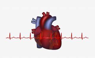 ماهى علاقة حصوات المرارة بامراض القلب؟
