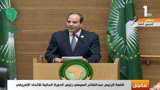 الرئيس السيسي: مصر منفتحة للتعاون مع الجميع لتنمية أفريقيا 