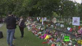 بالفيديو .. النيوزيلنديون يضعون الزهور حزنا على ضحايا مجزرة المسجدين
