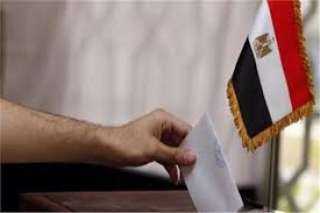 الوطنية للانتخابات: الاستفتاء رسالة للعالم بقدرة المصري علي تقرير مصيرة  