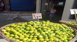 نقيب الفلاحين: جشع التجار وراء ارتفاع اسعار الليمون  