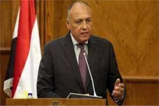 شكري: المباحثات الروسية المصرية تناولت القضايا الشائكة في المنطقة