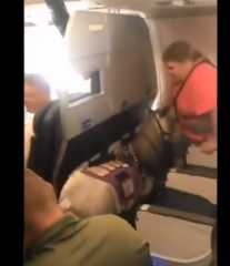 بالفيديو...امرأة تصطحب مهرا على متن الطائرة والسبب