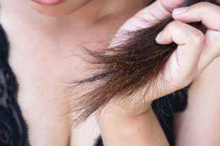طرق علاج الشعر المتقصف والجاف