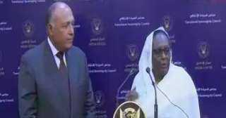 وزير الخارجية: مصر لن تدخر جهدا فى استمرار التواصل مع السودان