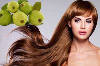 فوائد أوراق الجوافة لتساقط الشعر