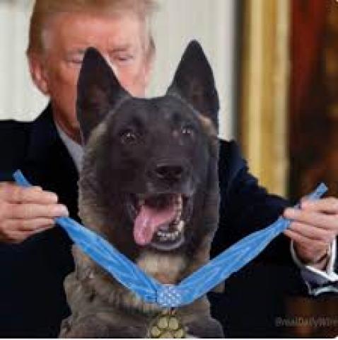 ترامب يكرم الكلب 