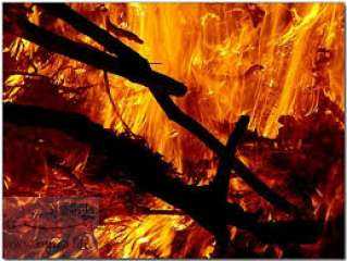 الجارديان: نيو ساوث ويلز تواجه خطرًا غير مسبوق بسبب الحرائق الثلاثاء المقبل