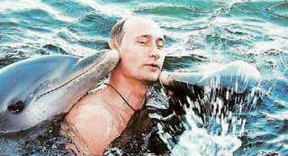 بالفيديو.. الكشف عن فيديو أرشيفي لبوتين وهو يسبح مع الدلافين