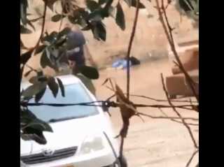 بالفيديو.. مقتل شاب فلسطيني برصاص إسرائيلي بذريعة طعن عند باب الأسباط في القدس