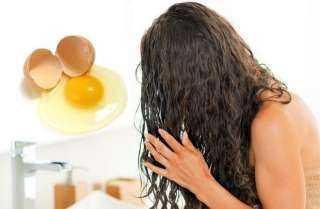 قناع البيض لتساقط الشعر